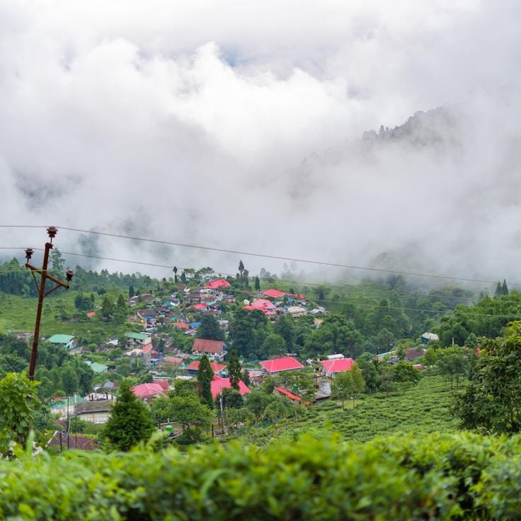 Outdoor terrace seating suitable for families in New York
